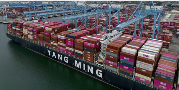 WOWL Shipping & Insights Trends – mid-MAY 2025 update